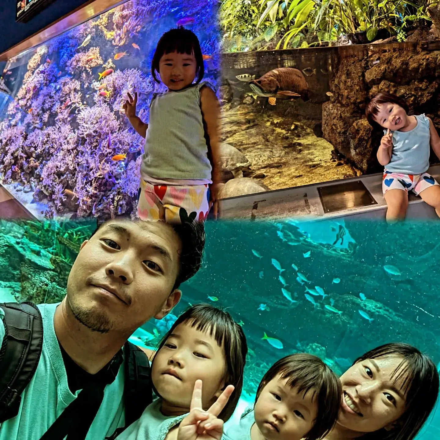 家族で名古屋港水族館に行ってきました🐠